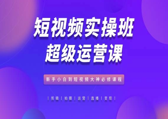 短视频实操班超级运营课，新手小白到短视频大神必修课程-摸金项目网