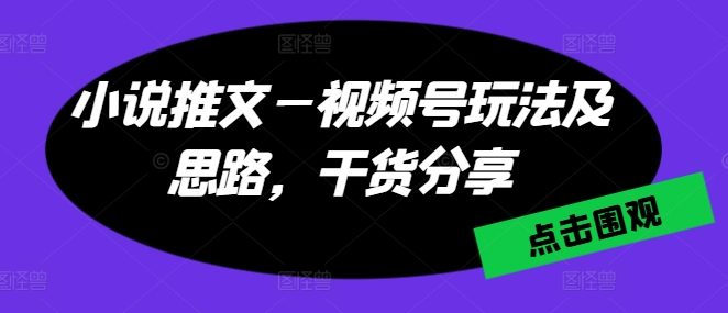 小说推文—视频号玩法及思路，干货分享-摸金项目网
