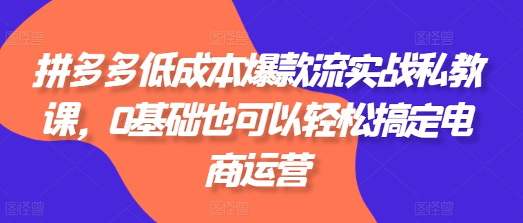 拼多多低成本爆款流实战私教课，0基础也可以轻松搞定电商运营-摸金项目网