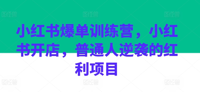 小红书爆单训练营，小红书开店，普通人逆袭的红利项目-摸金项目网