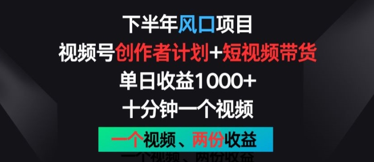下半年风口项目，视频号创作者计划+视频带货，一个视频两份收益，十分钟一个视频【揭秘】-摸金项目网