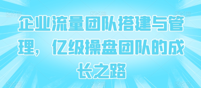 企业流量团队搭建与管理，亿级操盘团队的成长之路-摸金项目网