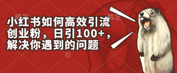 小红书如何高效引流创业粉，日引100+，解决你遇到的问题【揭秘】-摸金项目网