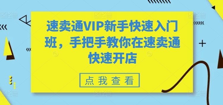 速卖通VIP新手快速入门班，手把手教你在速卖通快速开店-摸金项目网