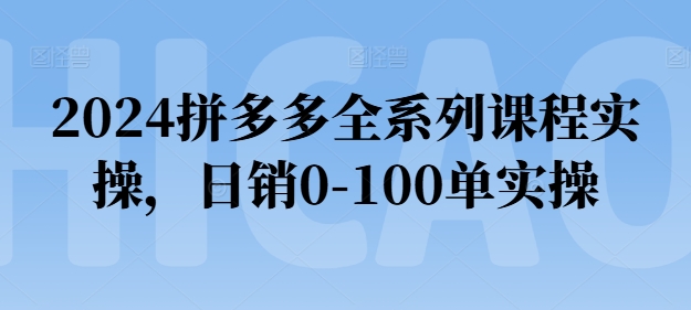 2024拼多多全系列课程实操，日销0-100单实操【必看】-摸金项目网