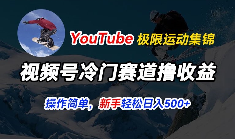 视频号冷门赛道撸收益，YouTube搬运极限运动集锦，暴力起号，操作简单流量高，轻松日入5张【揭秘】-摸金项目网