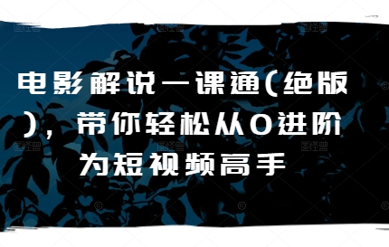 电影解说一课通(绝版)，带你轻松从0进阶为短视频高手-摸金项目网
