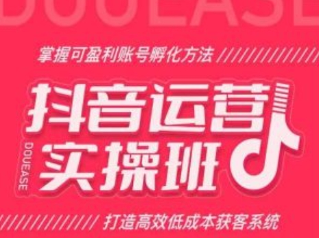 抖音运营实操班，掌握可盈利账号孵化方法，打造高效低成本获客系统-摸金项目网