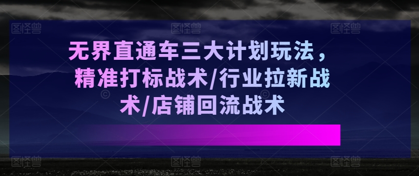 无界直通车三大计划玩法，精准打标战术/行业拉新战术/店铺回流战术-摸金项目网