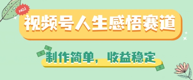 视频号人生感悟赛道，制作简单，收益稳定【揭秘】-摸金项目网