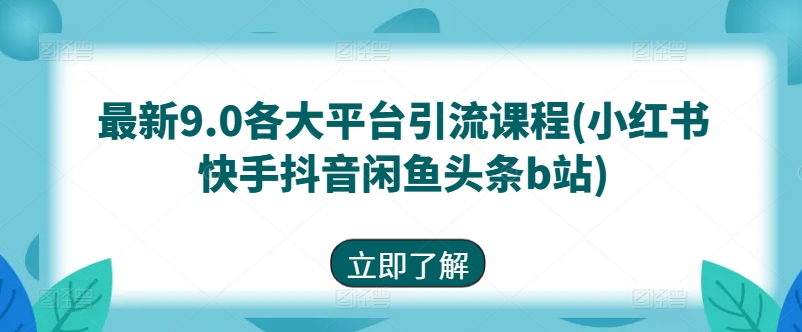 最新9.0各大平台引流课程(小红书快手抖音闲鱼头条b站)-摸金项目网