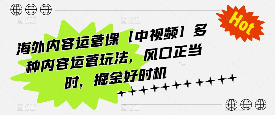 海外内容运营课【中视频】多种内容运营玩法，风口正当时，掘金好时机-摸金项目网