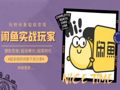 手把手教你0到1系统玩转闲鱼变现，爆款思维/超级曝光/超高转化-摸金项目网