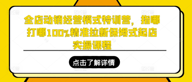 全店动销经营模式特训营，指哪打哪100%精准拉新保姆式起店实操课程-摸金项目网
