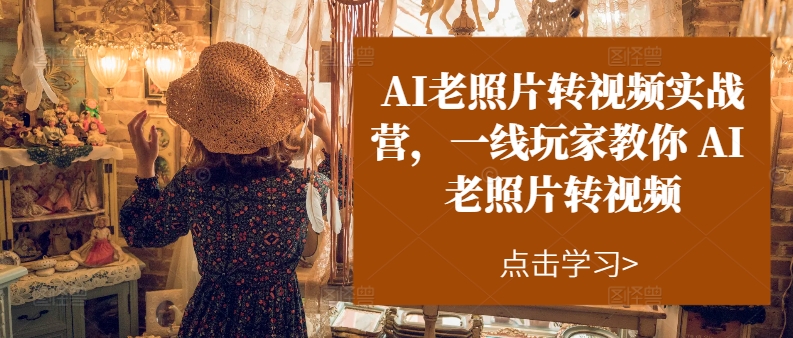 AI老照片转视频实战营，一线玩家教你AI老照片转视频-摸金项目网