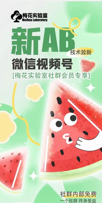 梅花实验室2024年AB技术视频号AB合成破解版-摸金项目网