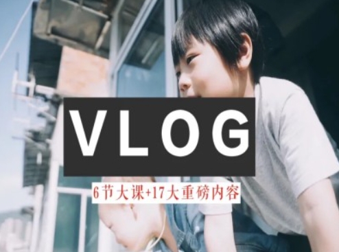 零基础vlog视频课教你小白变大神-生活美学教程-摸金项目网
