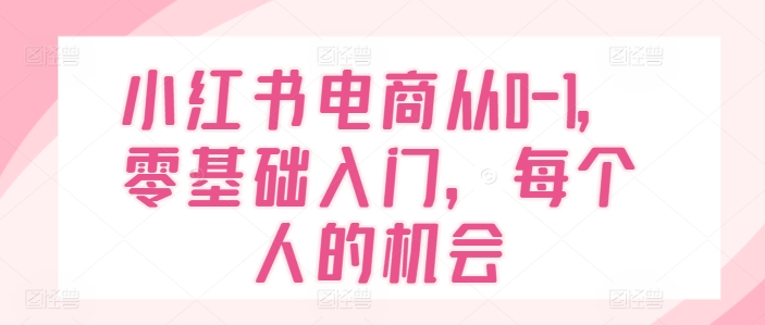 小红书电商从0-1，零基础入门，每个人的机会-摸金项目网