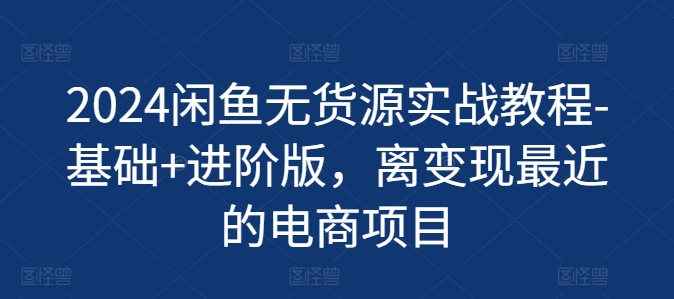 2024闲鱼无货源实战教程-基础+进阶版，离变现最近的电商项目-摸金项目网