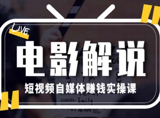 电影解说短视频自媒体赚钱实操课，教你做电影解说短视频，月赚1万-摸金项目网