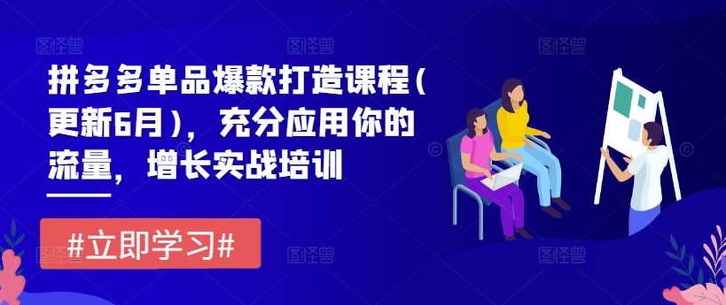 拼多多单品爆款打造课程(更新6月)，充分应用你的流量，增长实战培训-摸金项目网