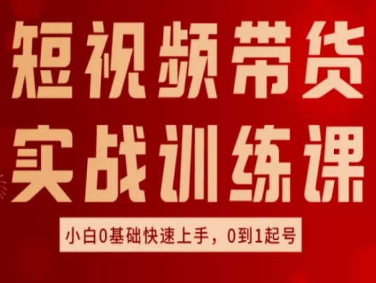 短视频带货实战训练课，好物分享实操，小白0基础快速上手，0到1起号-摸金项目网