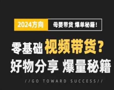 短视频母婴赛道实操流量训练营，零基础视频带货，好物分享，爆量秘籍-摸金项目网