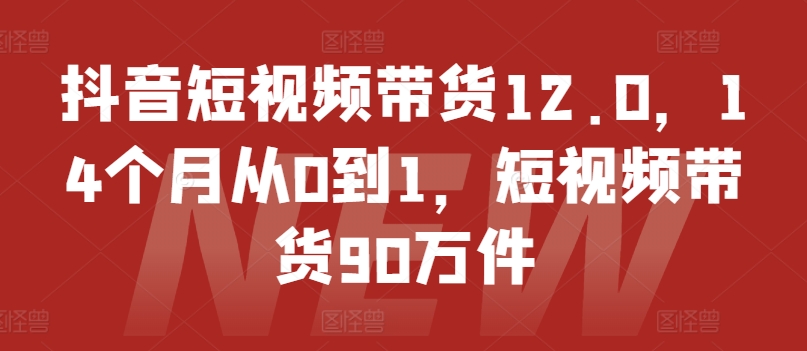 抖音短视频带货12.0，14个月从0到1，短视频带货90万件-摸金项目网
