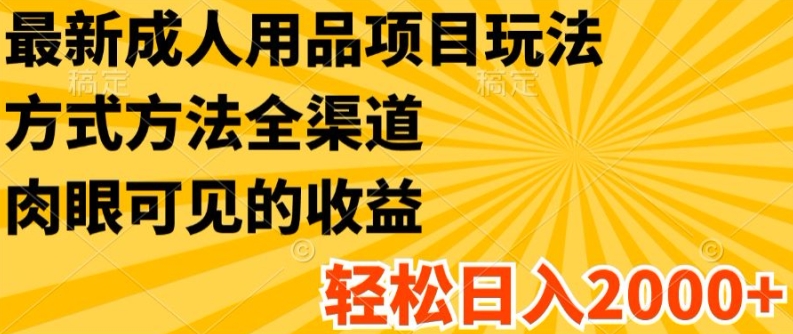 最新成人用品项目玩法，方式方法全渠道，轻松日入2K+【揭秘】-摸金项目网