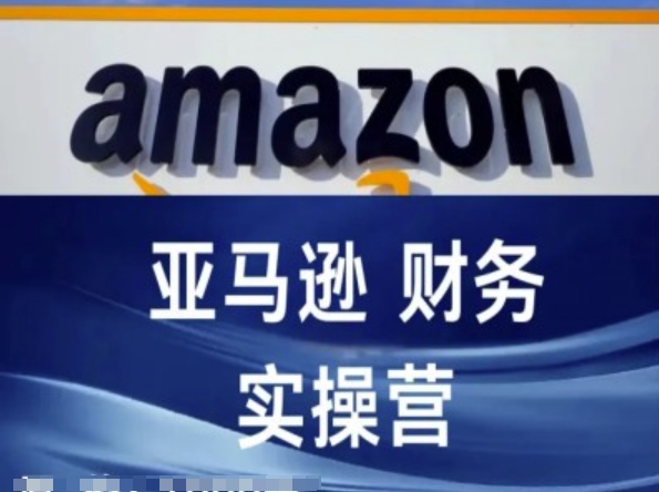 亚马逊财务核算实操营-亚马逊跨境电商教程-摸金项目网