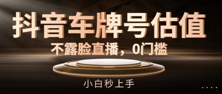 抖音车牌号估值，不露脸直播，0门槛，小白秒上手【揭秘】-摸金项目网