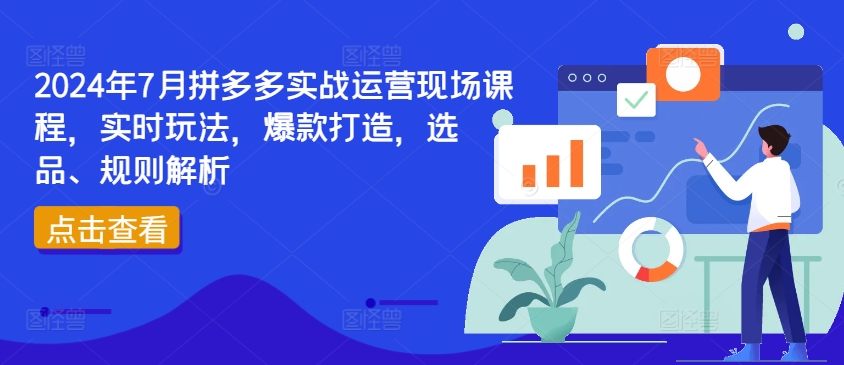 2024年7月拼多多实战运营现场课程，实时玩法，爆款打造，选品、规则解析-摸金项目网