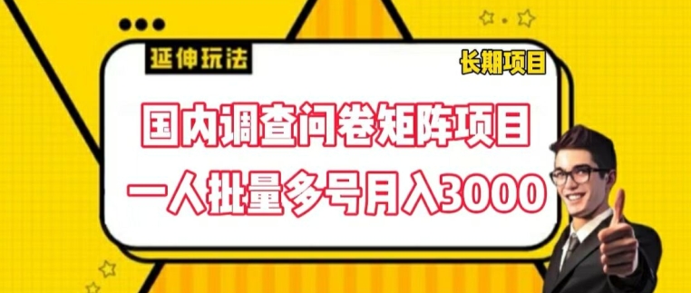 国内调查问卷矩阵项目，一人批量多号月入3000【揭秘】-摸金项目网