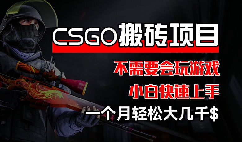CSGO 装备搬砖项目，操作简单，不需要会玩游戏，小白也能快速上手，一个月轻松大几千【揭秘】-摸金项目网
