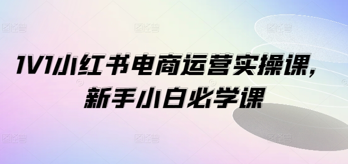 1V1小红书电商运营实操课，新手小白必学课-摸金项目网