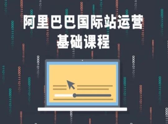 阿里巴巴国际站课程，阿里巴巴国际站运营基础课程-摸金项目网