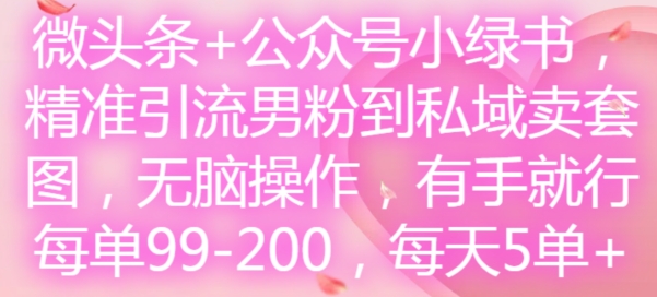 微头条+公众号小绿书，精准引流男粉到私域卖套图，无脑操作，有手就行，每单99-200，每天5单-摸金项目网