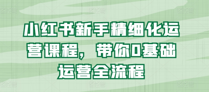 小红书新手精细化运营课程，带你0基础运营全流程-摸金项目网