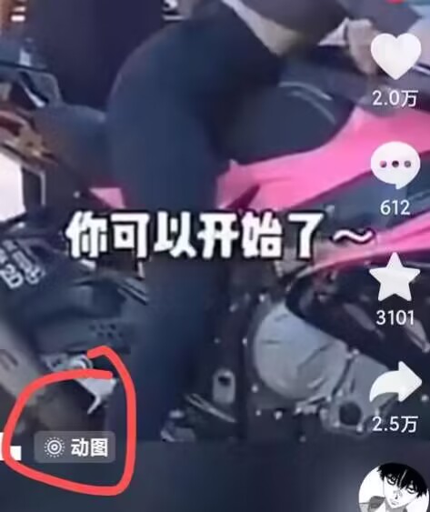 2024年7月苹果手机动图搬运技术-摸金项目网