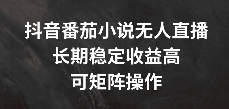 抖音番茄小说无人直播，长期稳定收益高，可矩阵操作【揭秘】-摸金项目网