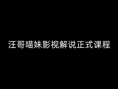 汪哥影视解说正式课程：剪映/PR教学/视解说剪辑5大黄金法则/全流程剪辑7把利器等等-摸金项目网