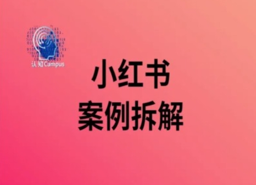 小红书案例拆解，深度解读小红书40万粉-摸金项目网