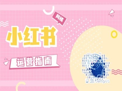 小红书运营指南，没有套路，全是经验-摸金项目网