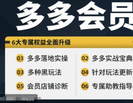 拼多多会员，拼多多实战宝典+实战落地实操，从新手到高阶内容全面覆盖-摸金项目网