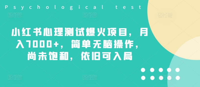 小红书心理测试爆火项目，月入7000+，简单无脑操作，尚未饱和，依旧可入局-摸金项目网