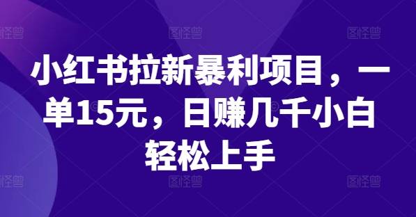 小红书拉新暴利项目，一单15元，日赚几千小白轻松上手【揭秘】-摸金项目网
