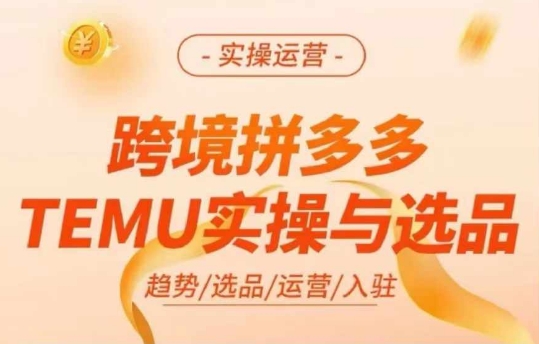 跨境拼多多TEMU实操与选品，多多temu跨境选品运营实操-摸金项目网