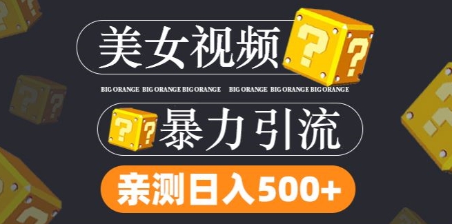 搬运tk美女视频全网分发，日引s粉300+，轻松变现，不限流量不封号【揭秘】-摸金项目网