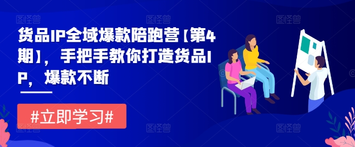 货品IP全域爆款陪跑营【第4期】，手把手教你打造货品IP，爆款不断-摸金项目网