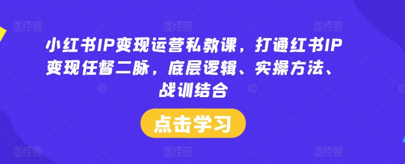 小红书IP变现运营私教课，打通红书IP变现任督二脉，底层逻辑、实操方法、战训结合-摸金项目网